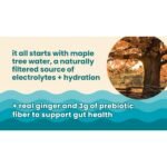 Recoup Pineapple Passionfruit Ginger Sparkling Hydration - 12 fl oz - Image 2