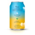 Recess Mood Tropical Bliss Sparkling Water with Magnesium L-Threonate - 12 fl oz: Non-Caffeinated - Image 3