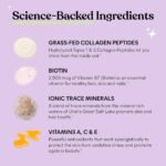 Lemme Glow Collagen Gummies - Hair, Skin & Nail Support - Biotin, Collagen, Trace Minerals & Vitamins - Peach Flavored - 60ct - Image 6