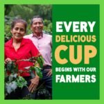Green Mountain Coffee Nantucket Blend Keurig K-Cup Coffee Pods - Medium Roast - 24ct - Image 6