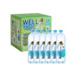 Body Aqua Well Water Alkaline Mineral Water 16 fl oz (6-Pack)