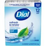 Dial Refresh & Renew Spring Water Antibacterial Bar Soap - 4oz/12pk