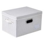 REGALWOVEN 1Pcs Storage Cube, Fabric Collapsible Storage Basket with Lids for Organizing Clothes, Books 14.6*10.6*9.1in