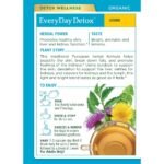 Traditional Medicinals Organic EveryDay Detox Lemon Herbal Tea - 16ct - Image 3