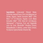 Melting Forest Watermelon Elderflower Functional D-Stress - 12oz: Caffeine Free - Image 5