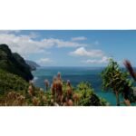 Kauai Coffee Koloa Estate Medium Roast Ground Coffee - 100% Hawaiian Coffee- 7oz - Image 6