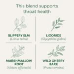 Traditional Medicinals Organic Throat Coat Herbal Dietary Supplement Herbal Tea - 16ct - Image 3