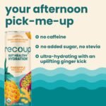 Recoup Pineapple Passionfruit Ginger Sparkling Hydration - 12 fl oz - Image 5