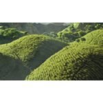 Taylors of Harrogate Strawberry & Vanilla Green Tea - 20ct/1oz: Caffeinated - Image 2