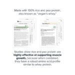 Legion Plant+ Vegan Protein Powder - Dutch Chocolate - 20 Servings: 25g Complete Plant Protein, Vegan - Image 4
