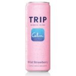 Trip Mindful Blend Strawberry Lightly Sparkling Botanical - 12 fl oz: Caffeine Free