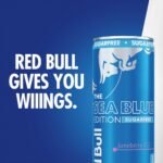 Red Bull Sea Blue Edition Sugarfree Energy Drink, Caffeinated - Juneberry - 4pk/8.4 fl oz Cans - Image 4