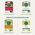 Traditional Medicinals Organic Throat Coat Lemon Echinacea Herbal Tea - 16ct - Image 3