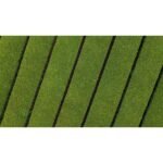 Jade Leaf Organic Vanilla Flavored Matcha Latte Mix - 3.5oz: Caffeinated - Image 2