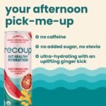 Recoup Watermelon Blood Orange Ginger Sparkling Hydration - 12 fl oz - Image 5