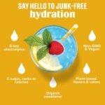 Ultima Replenisher Daily Hydration Electrolyte Stick Packs - Lemonade: Powdered Mix for Hydration - 20 Count - Image 4