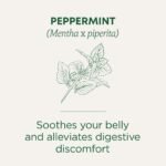Traditional Medicinals Organic Peppermint Herbal Tea - 16ct: Non-Caffeinated, Gluten-Free - Image 3