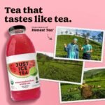 JUST ICE TEA Watermelon Lime White Tea - 16 fl oz - Image 5