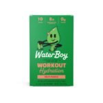 Waterboy Workout Hydration Dietary Supplement Powder - Fruit Punch - 10ct