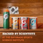Gatorade Fruit Punch Powder Cannister Sports Drink - 18.4oz - Image 6