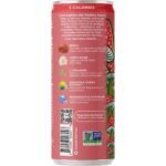 Melting Forest Watermelon Elderflower Functional D-Stress - 12oz: Caffeine Free - Image 3