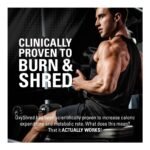 EHPlabs OxyShred Thermogenic Pre Workout & Fat Burner - Clinically Proven Preworkout Powder with Acetyl L Carnitine - Kiwi Strawberry, 60 Servings - Image 5