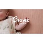 Crane Baby Hanging Storage Decor - Willow: Cotton, Wood, Rectangle, Wall-Mounted - Image 2