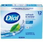 Dial Refresh & Renew Spring Water Antibacterial Bar Soap - 4oz/12pk - Image 2