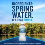 Ice Mountain Spring Water - 12 Pack/12 Fl Oz, Plastic Bottles: Non-Caffeinated - Image 6