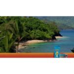 Kauai Coffee Koloa Estate Medium Roast Ground Coffee - 100% Hawaiian Coffee- 7oz - Image 2