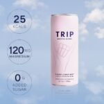 Trip Mindful Blend Elderflower Mint Lightly Sparkling Botanical - 12 fl oz - Image 3