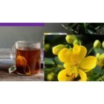 Traditional Medicinals Smooth Move Herb Tea - 16ct - Image 2