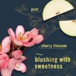 Febreze Air Mist - Japanese Cherry Blossom - 8.1oz: Disposable, Dye-Free, Phthalate-Free - Image 5