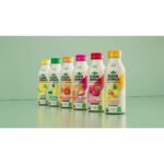 Saint James Half & Half Organic Black Tea - 16 fl oz - Image 2