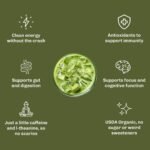 MUDWTR Organic Matcha Mushroom Coffee Alternative - 2.5oz - Image 4