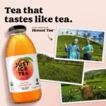 JUST ICE TEA Peach Oolong Tea - 16 fl oz - Image 5