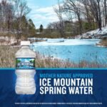 Ice Mountain Spring Water - 12 Pack/12 Fl Oz, Plastic Bottles: Non-Caffeinated - Image 4