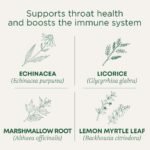 Traditional Medicinals Organic Throat Coat Lemon Echinacea Herbal Tea - 16ct - Image 4
