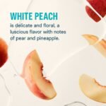 Liquid I.V. Sugar Free Hydration Multiplier Powder Electrolyte Drink Mix - White Peach - 0.45oz/12ct - Image 6