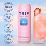 Trip Mindful Blend Strawberry Lightly Sparkling Botanical - 12 fl oz: Caffeine Free - Image 5