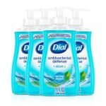 Dial Antibacterial Defense Liquid Hand Soap - Spring Water - 11oz/4pk