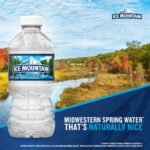 Ice Mountain Spring Water - 12 Pack/12 Fl Oz, Plastic Bottles: Non-Caffeinated - Image 3