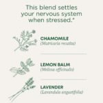 Traditional Medicinals Organic Chamomile with Lavender Herbal Tea - 16ct - Image 2