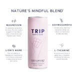 Trip Mindful Blend Elderflower Mint Lightly Sparkling Botanical - 12 fl oz - Image 5