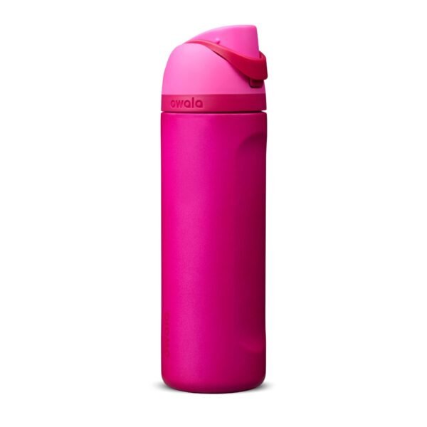 Owala 24 fl oz Stainless Steel FreeSip Water Bottle - Read My Lips