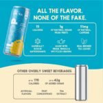 LOOP Lemon Black Tea Sparkling Iced Tea - 12 fl oz - Image 5