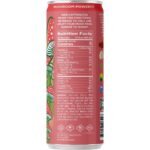 Melting Forest Watermelon Elderflower Functional D-Stress - 12oz: Caffeine Free - Image 2