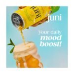 Juni Lemonade Iced Tea - 12 fl oz - Image 4