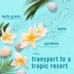 Febreze Air Fresheners - Bora Bora Waters: Non-Powered, Aerosol, Scented - Image 5