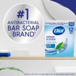 Dial Refresh & Renew Spring Water Antibacterial Bar Soap - 4oz/12pk - Image 3